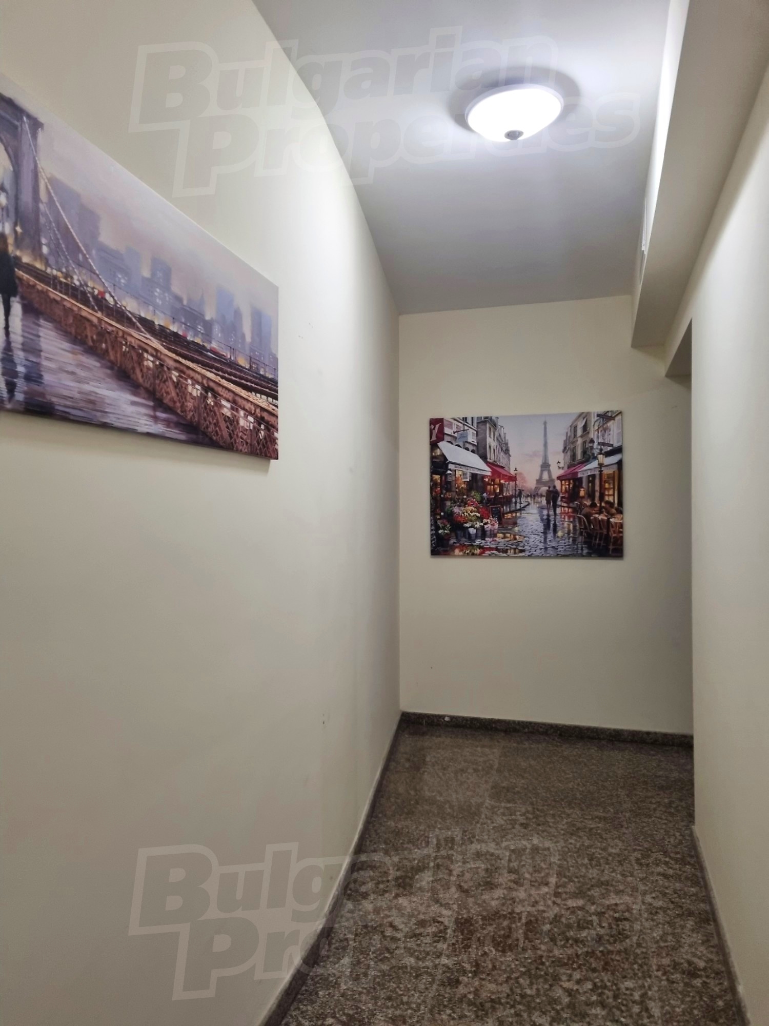 Gallery Picture 5