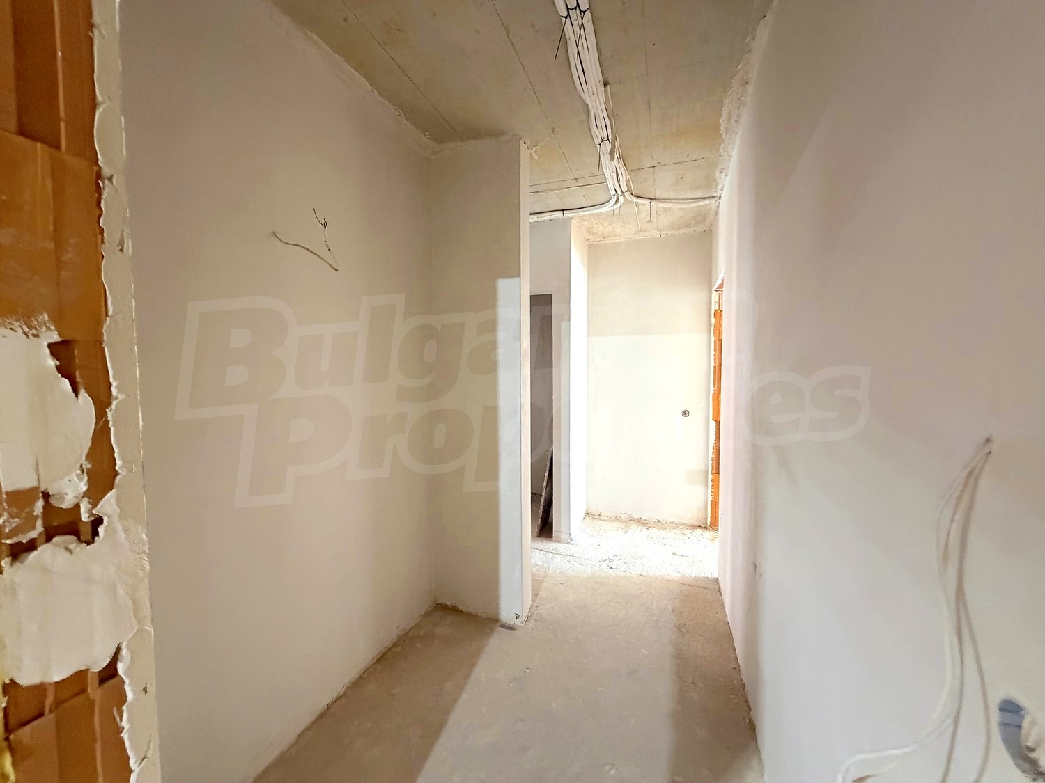 Gallery Picture 21