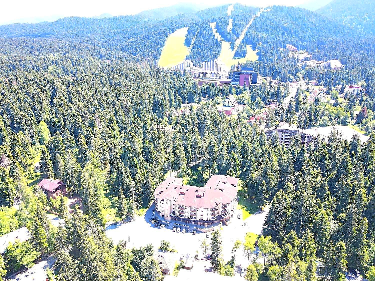 Gallery Picture 15