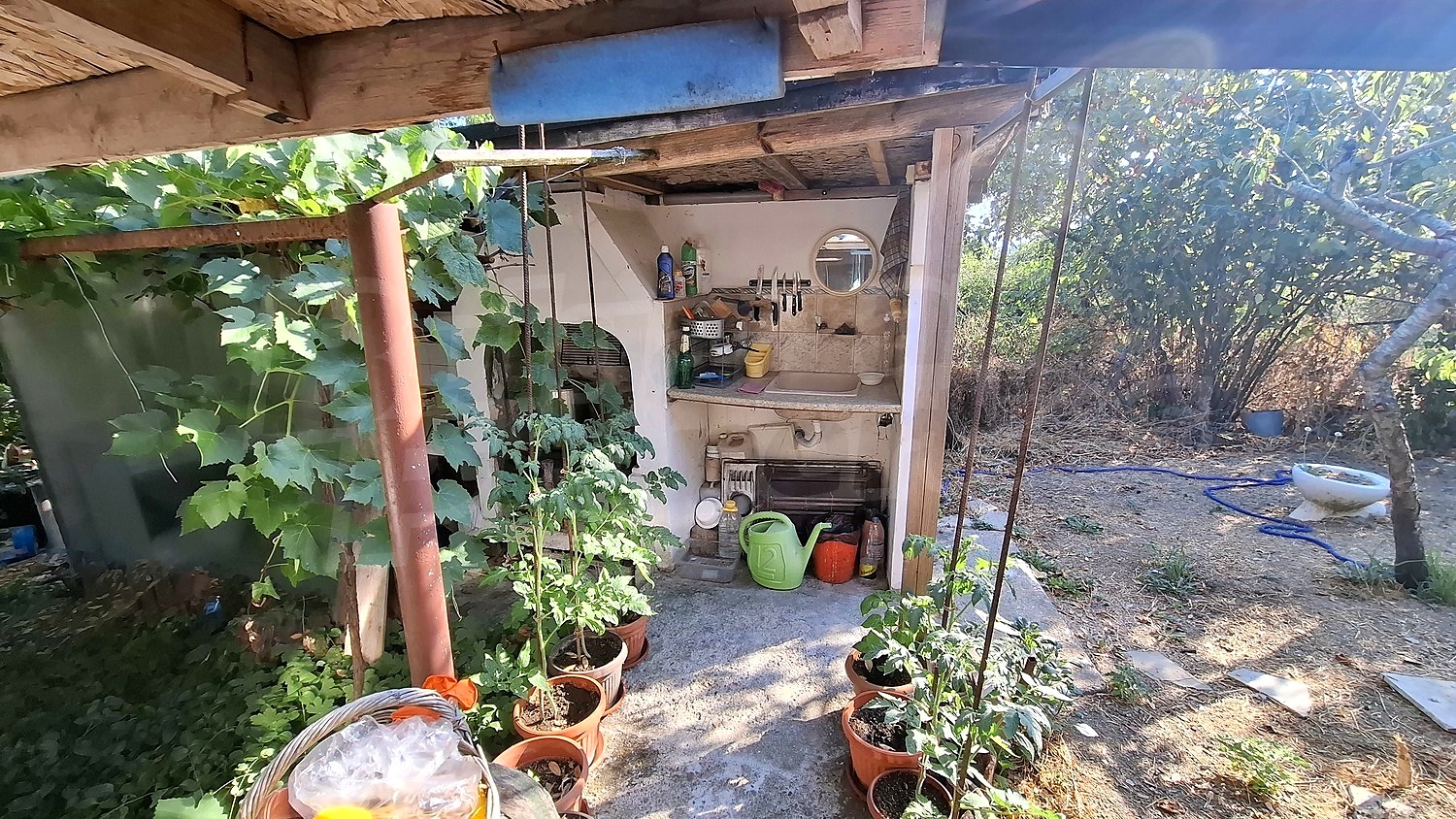 Gallery Picture 36