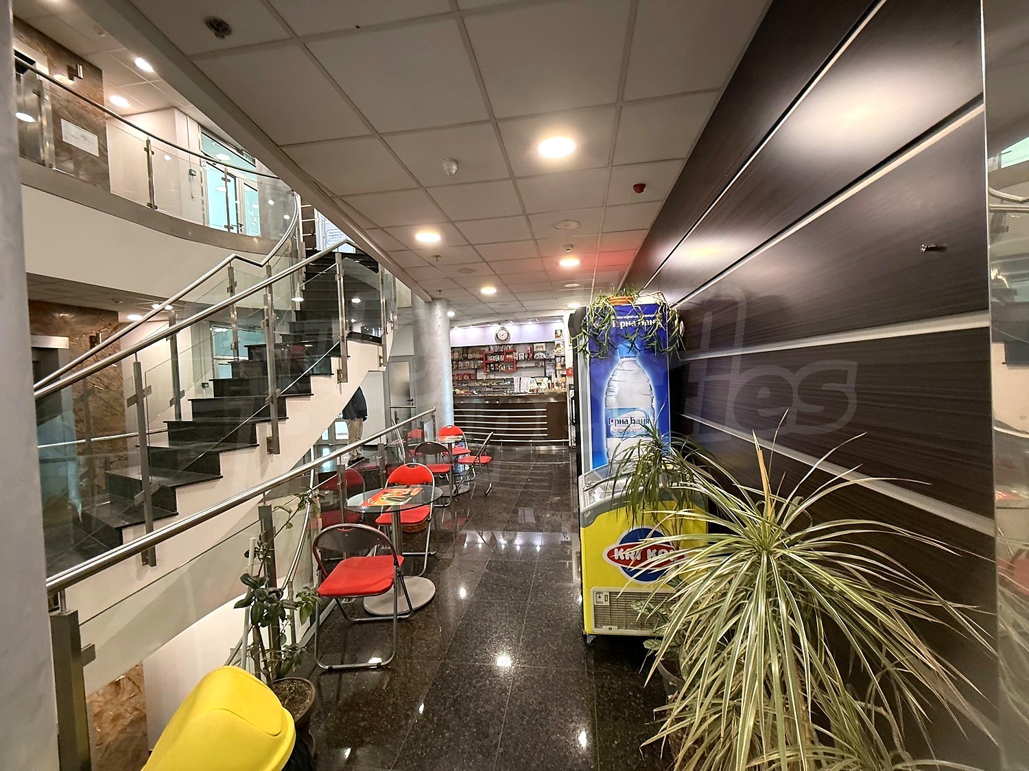 Gallery Picture 5
