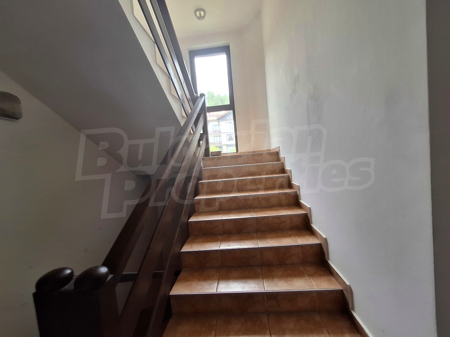 Gallery Picture 7