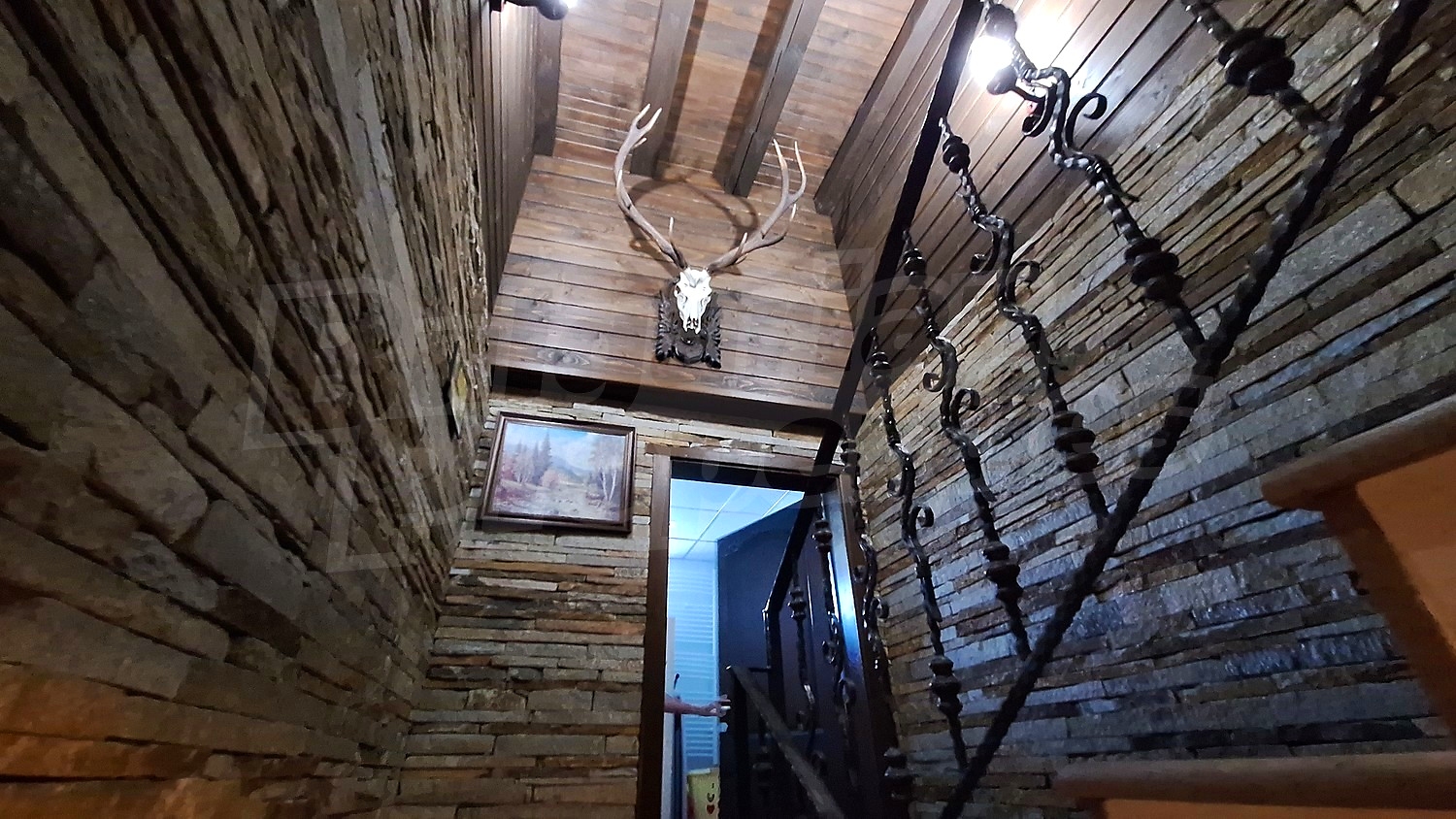Gallery Picture 36
