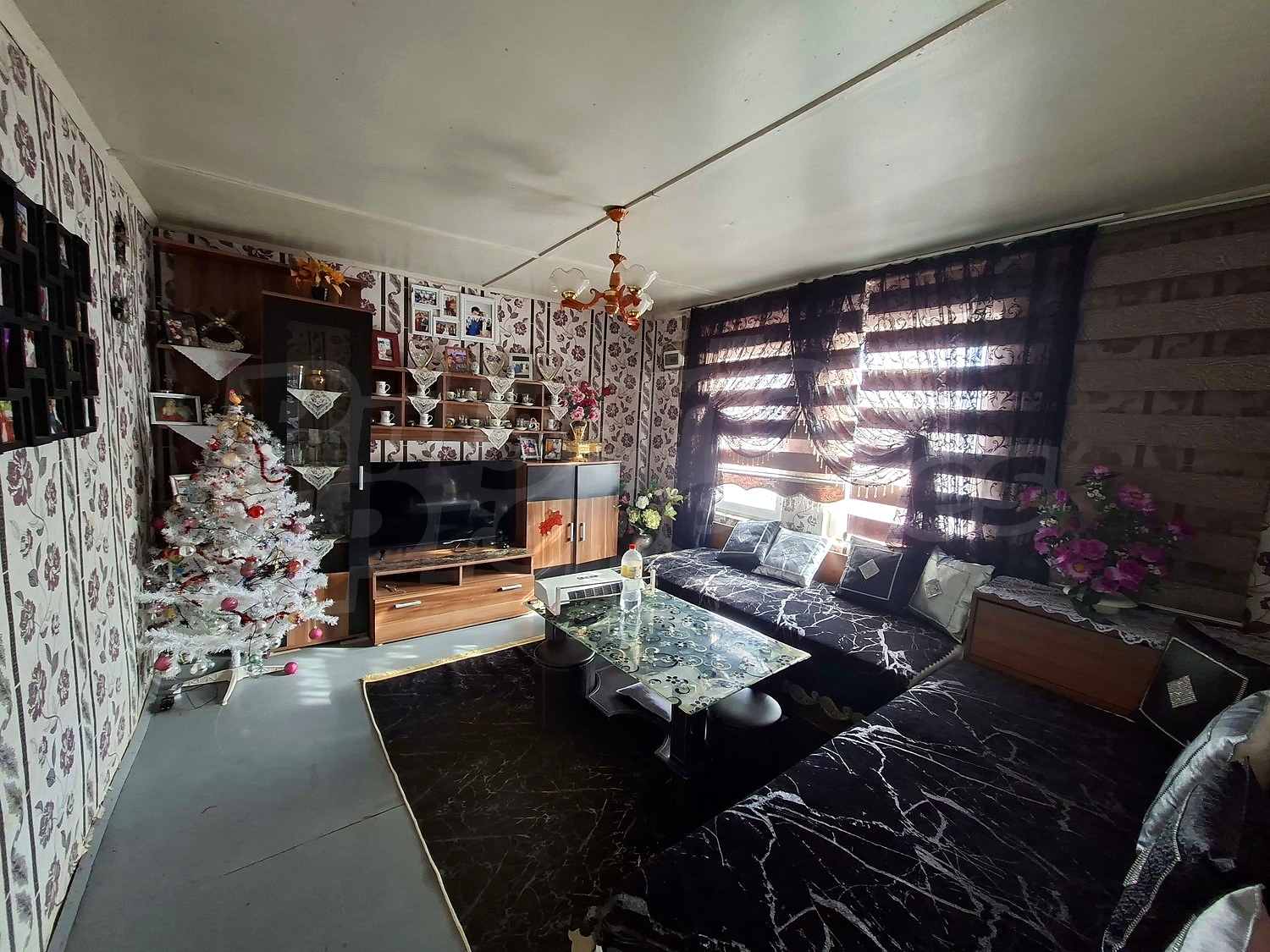 Gallery Picture 14