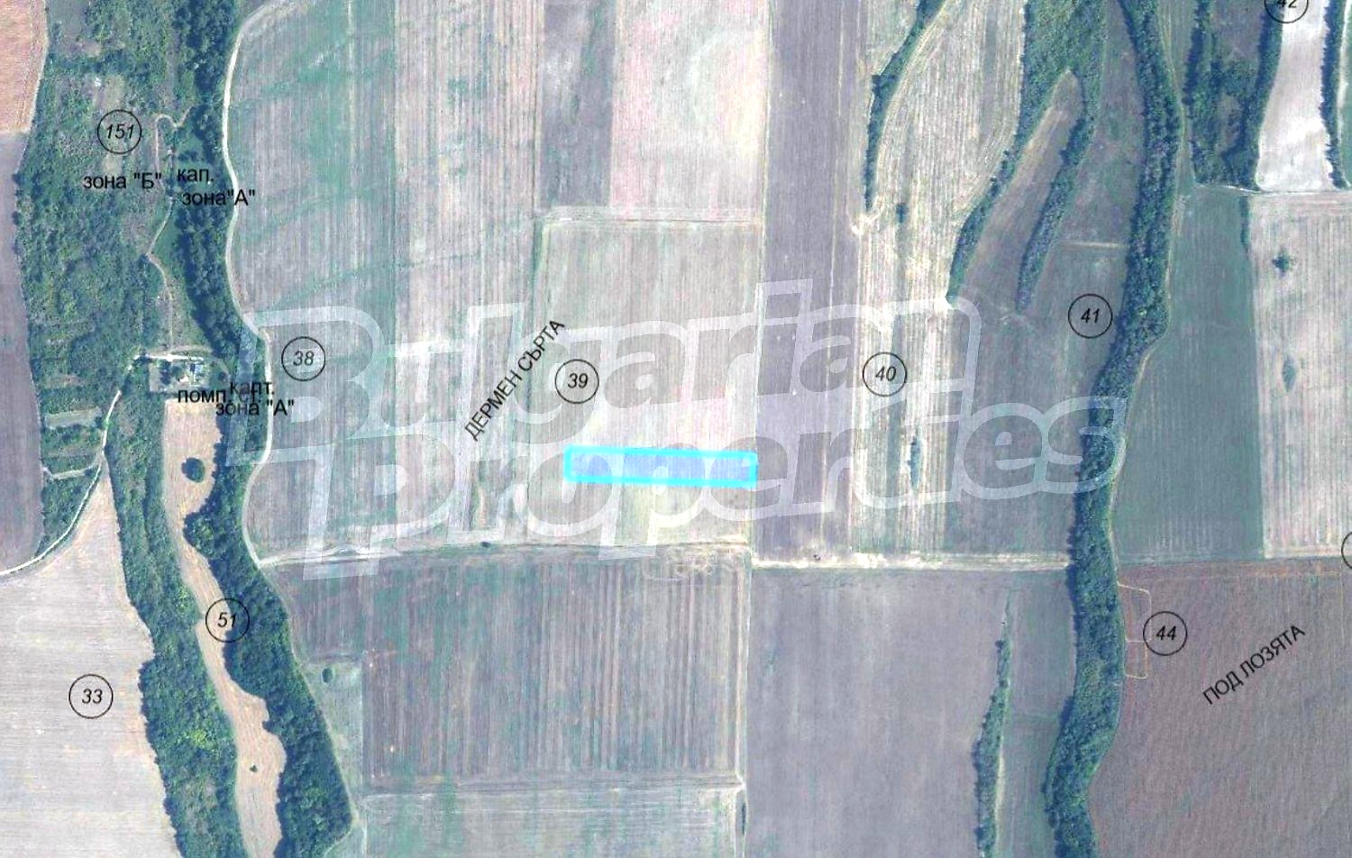 Gallery Picture 4