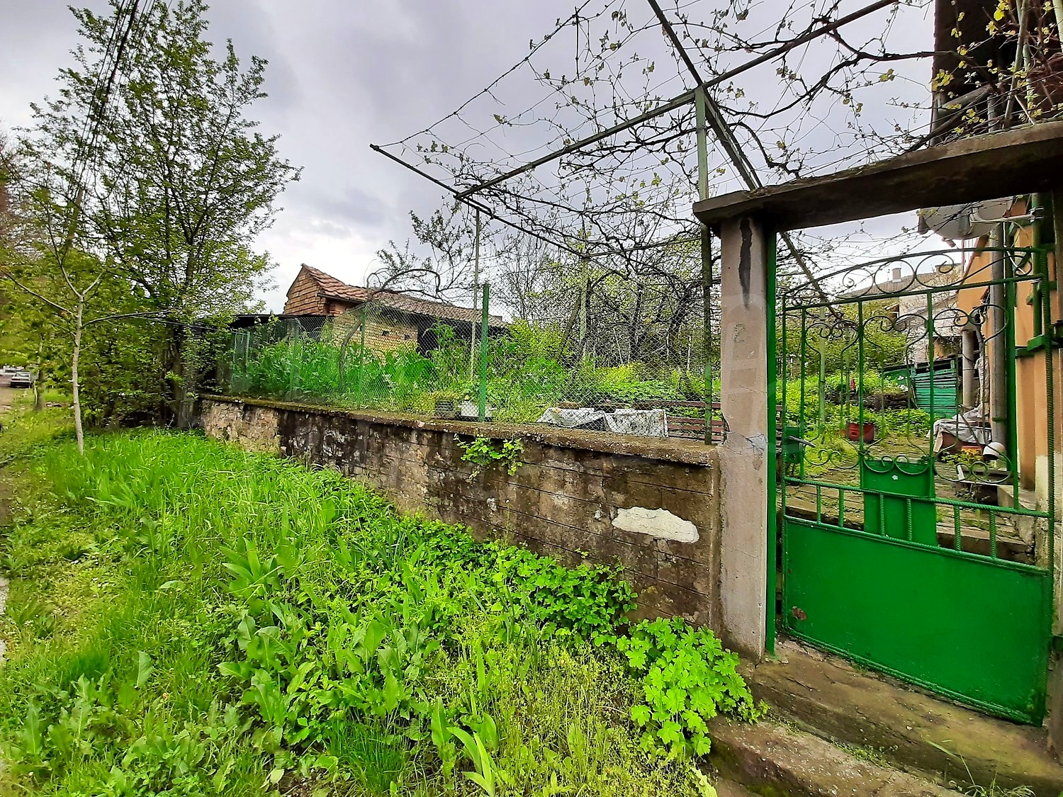 outside, garden
