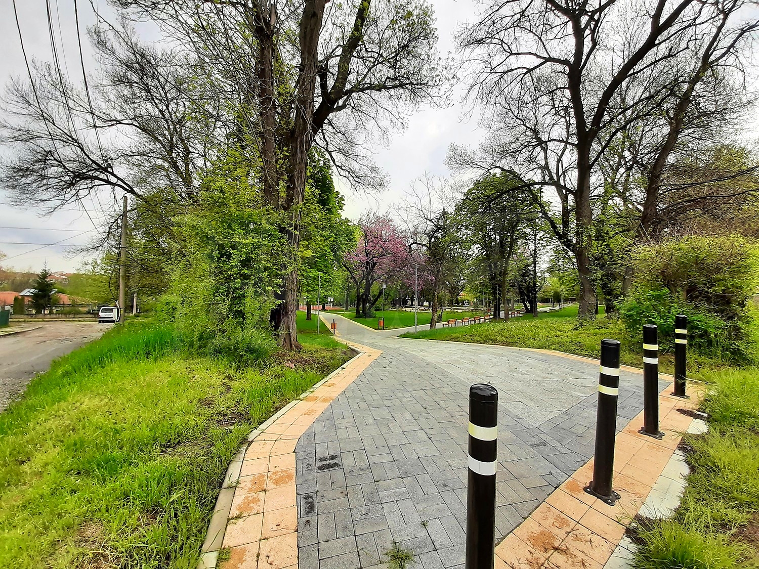 outside, green area