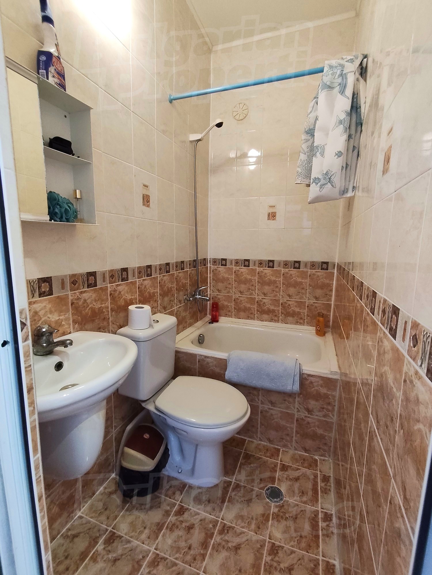 bathroom, toilet
