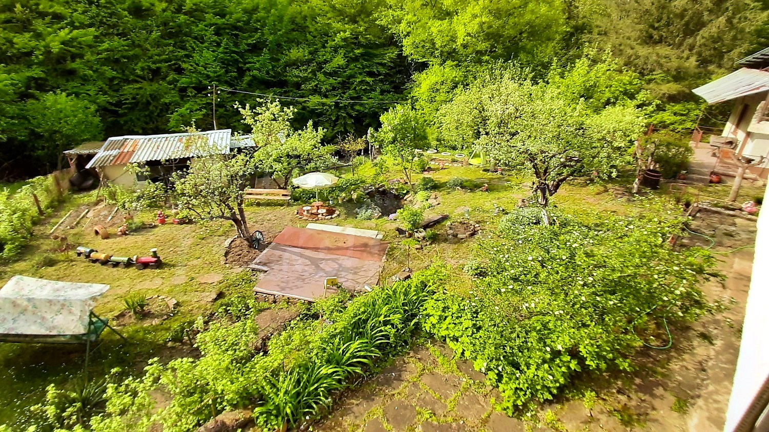 Gallery Picture 6