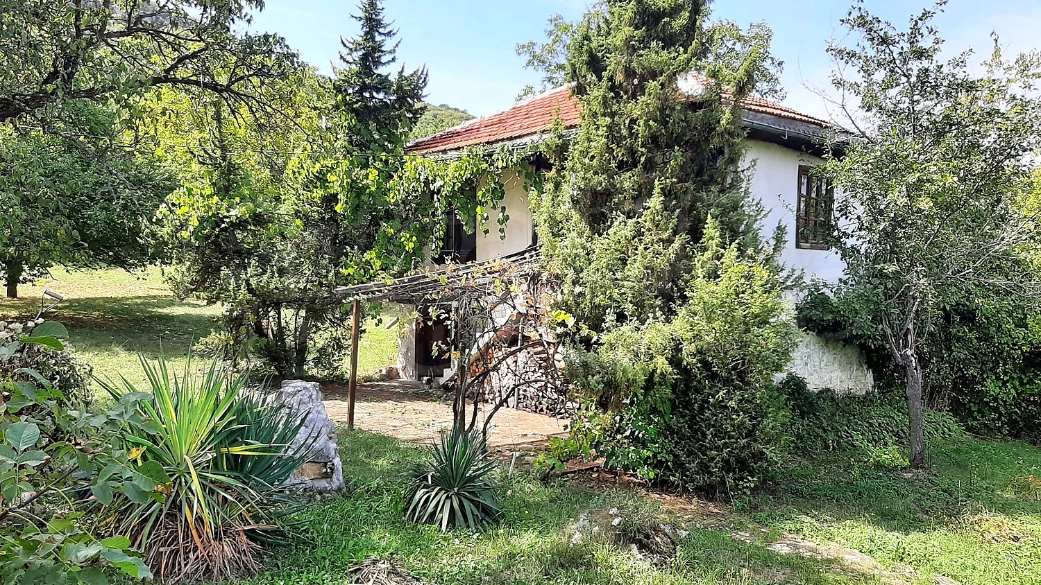 outside, garden, facade, green area