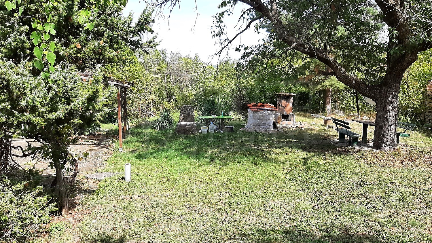 outside, garden, green area