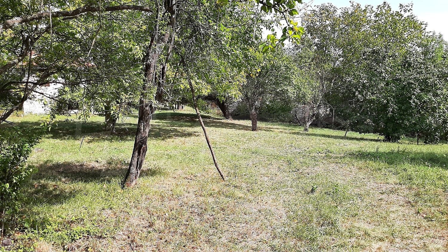 outside, garden, green area