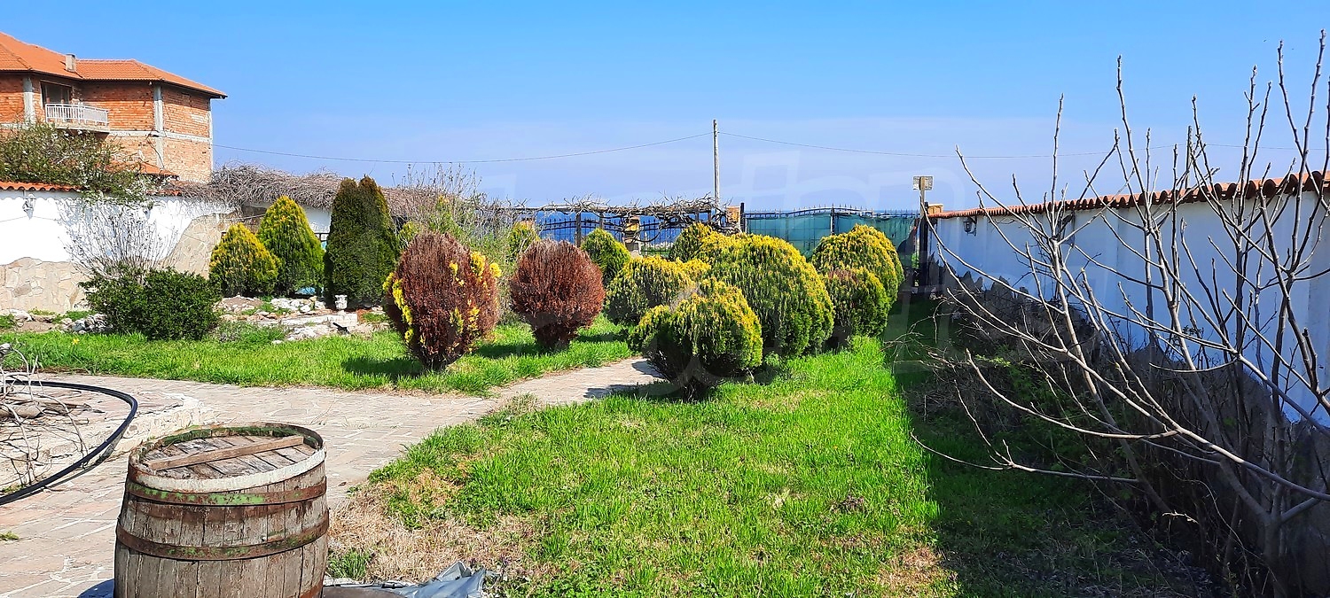 outside, garden, green area