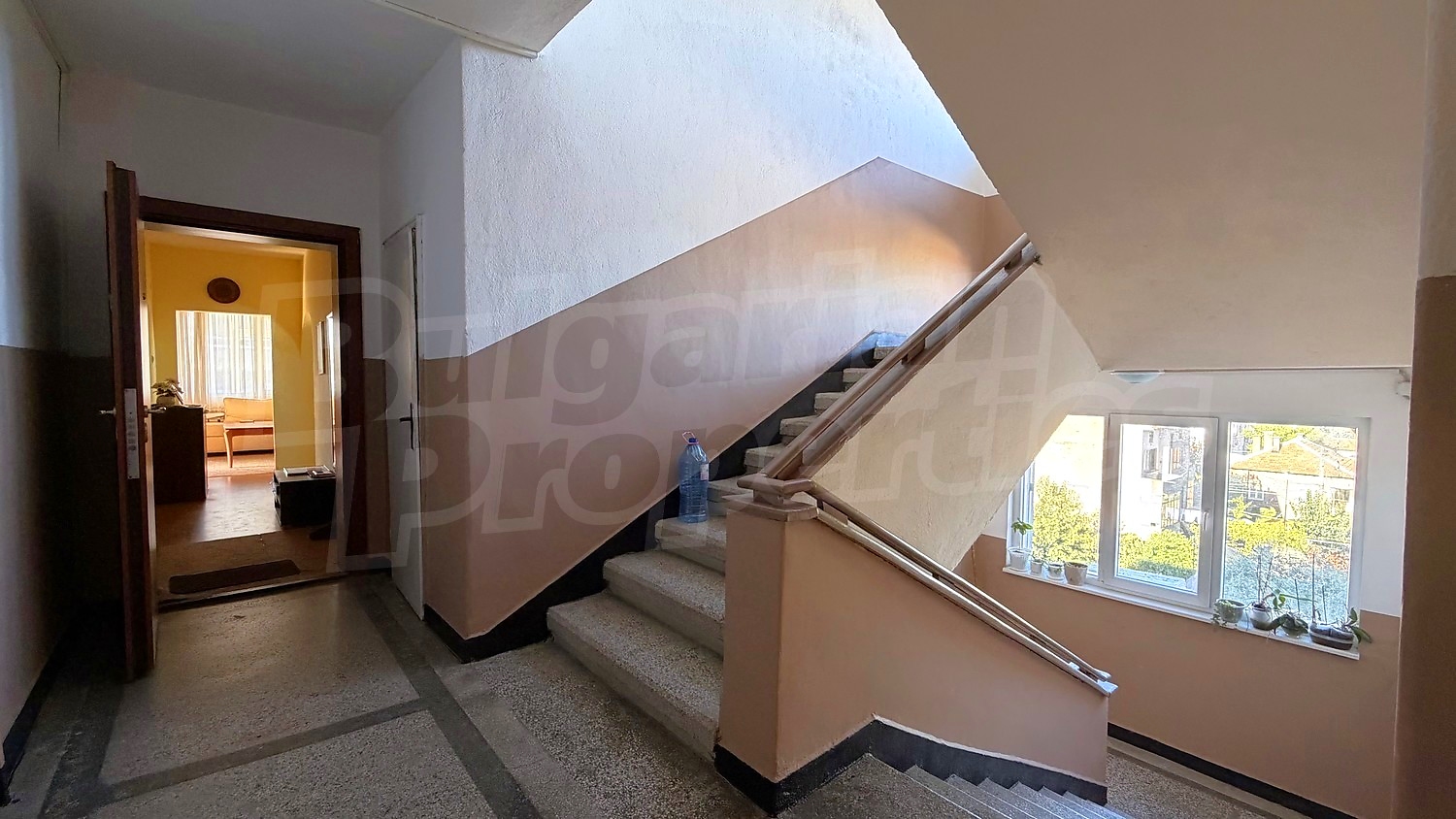 Gallery Picture 33