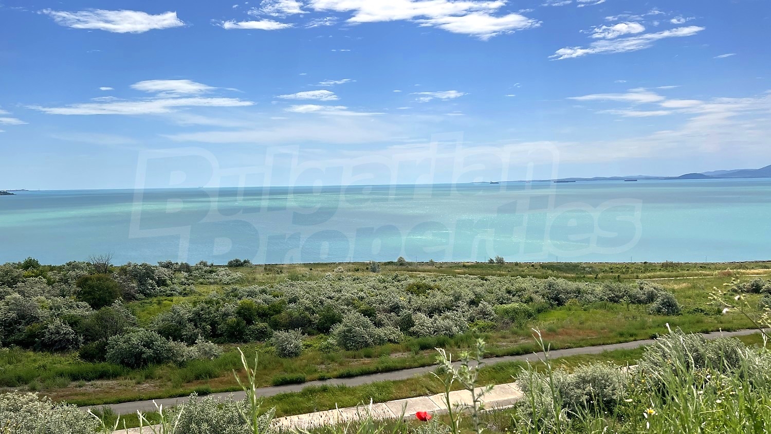 outside, sea, green area