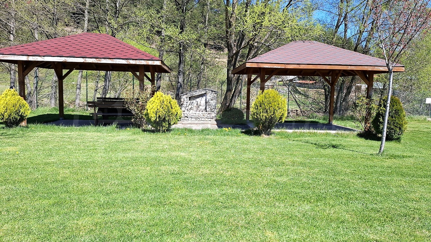 outside, green area, garden