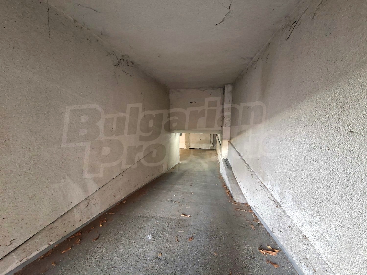 Gallery Picture 14
