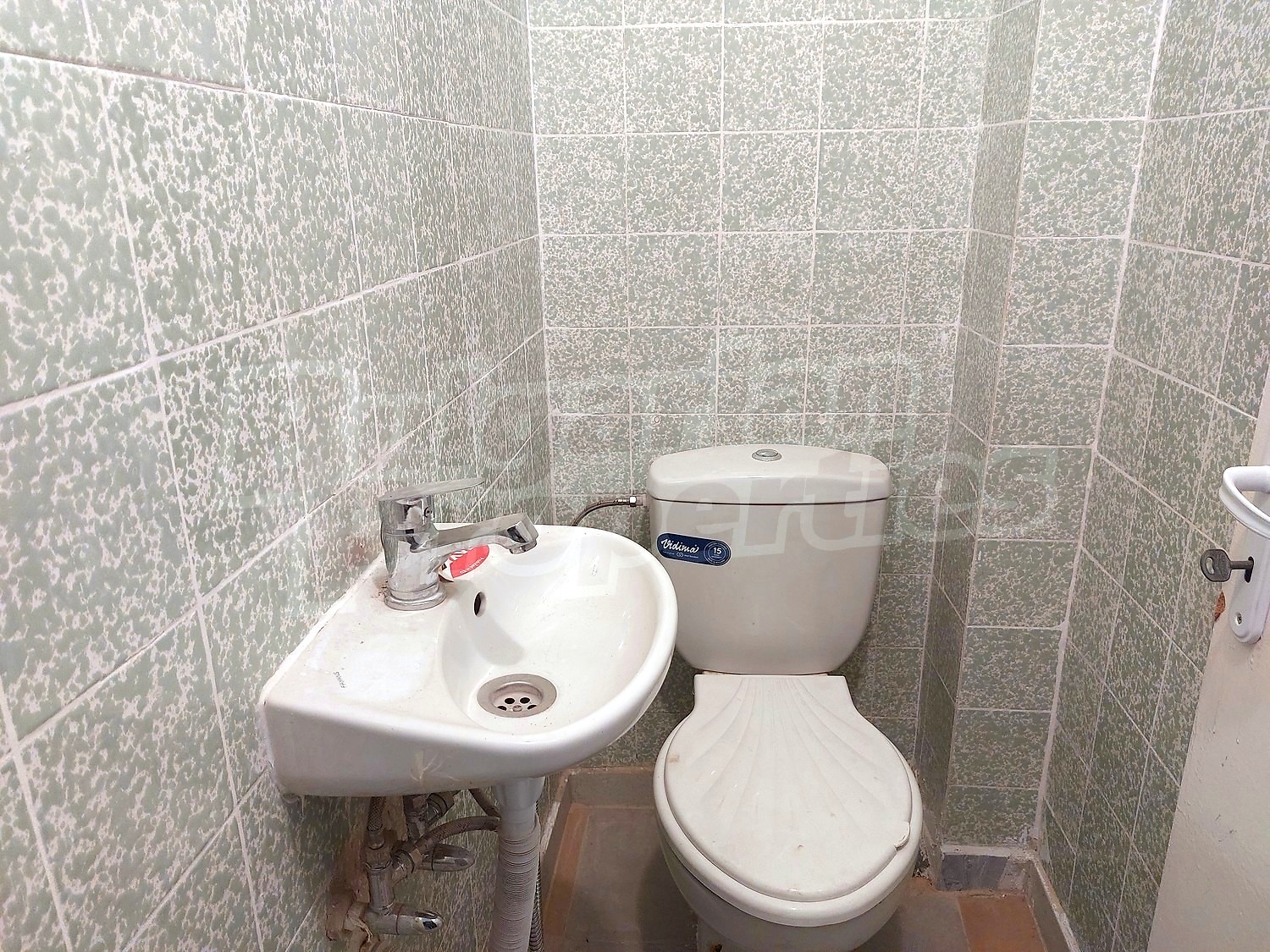 Gallery Picture 19