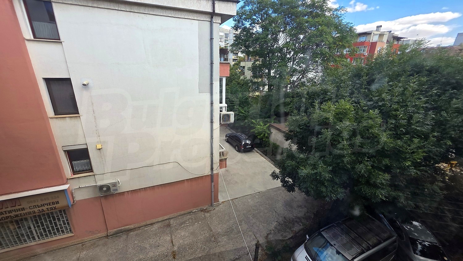 Gallery Picture 19