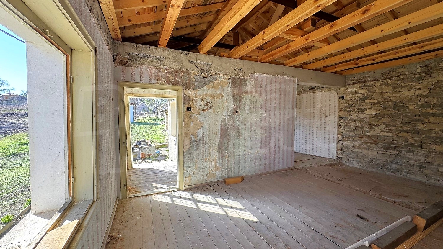 Gallery Picture 8