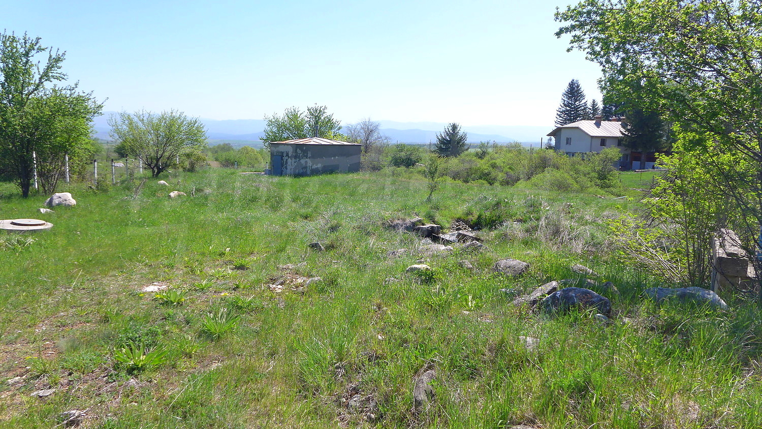 outside, green area, garden