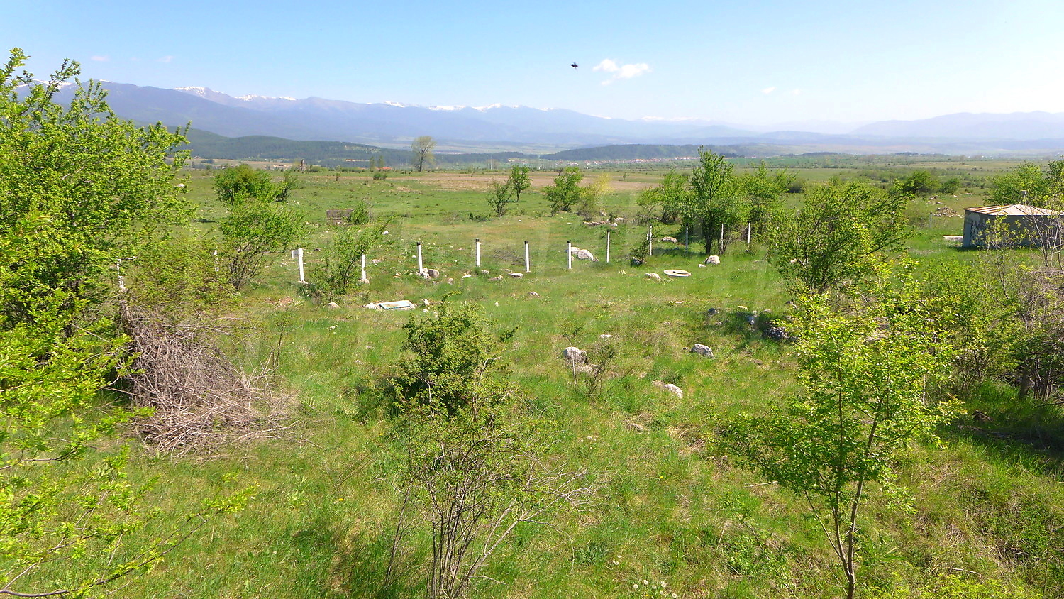 outside, mountain, green area