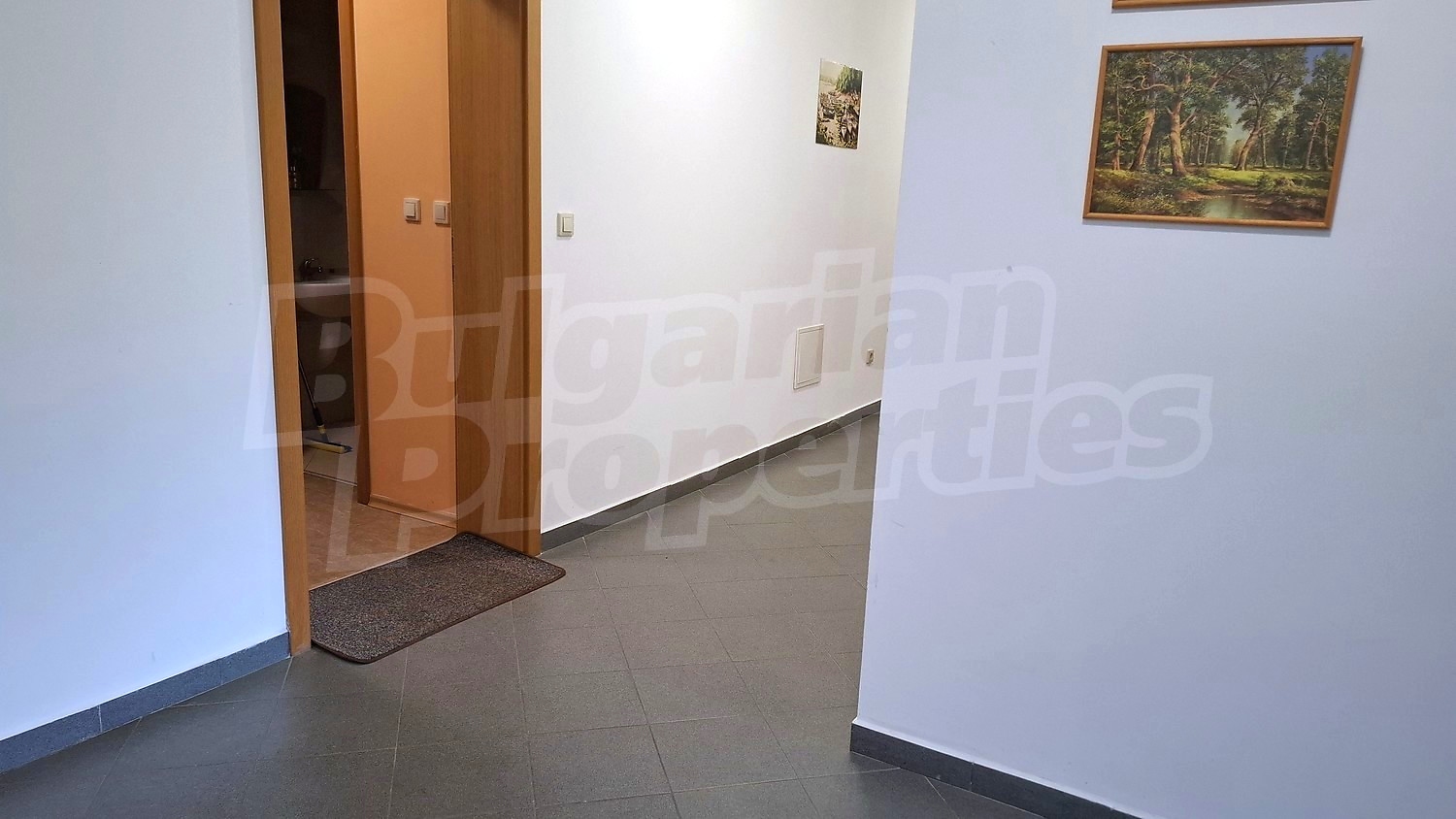 Gallery Picture 19