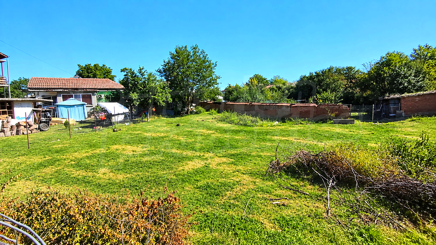 outside, garden, green area