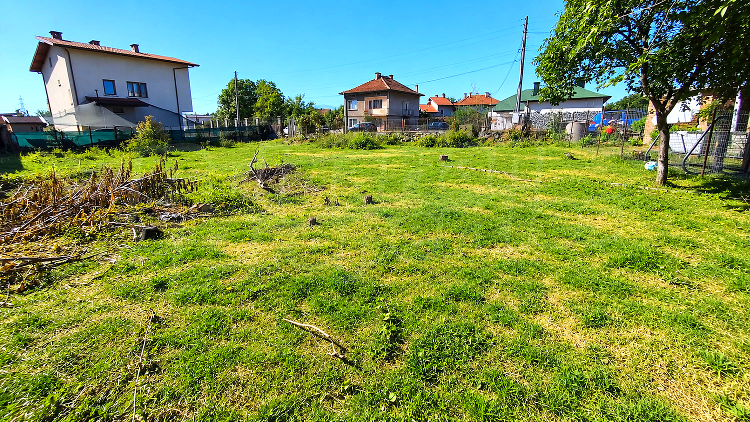 outside, garden, green area