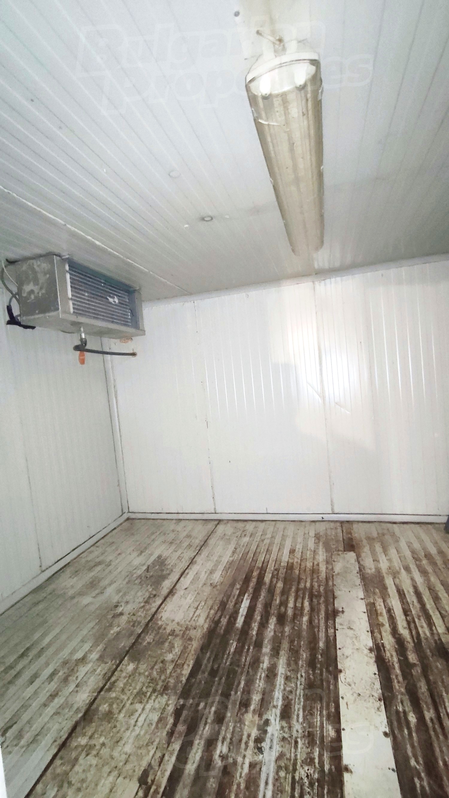 Gallery Picture 11