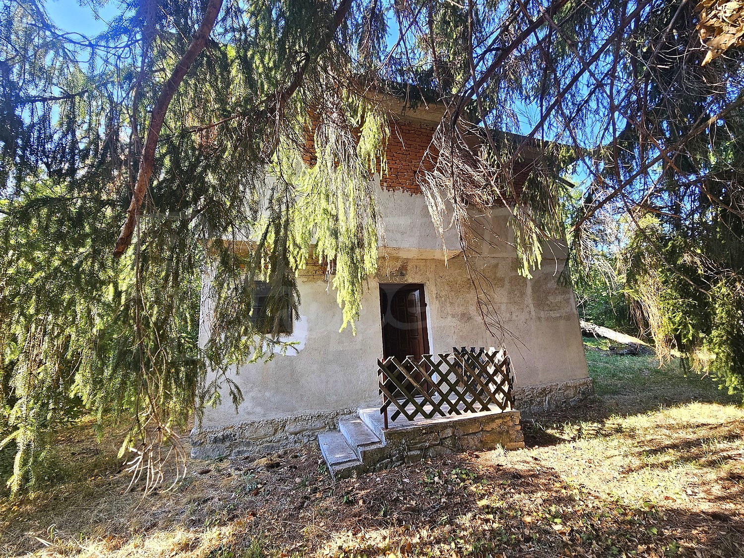 Gallery Picture 34
