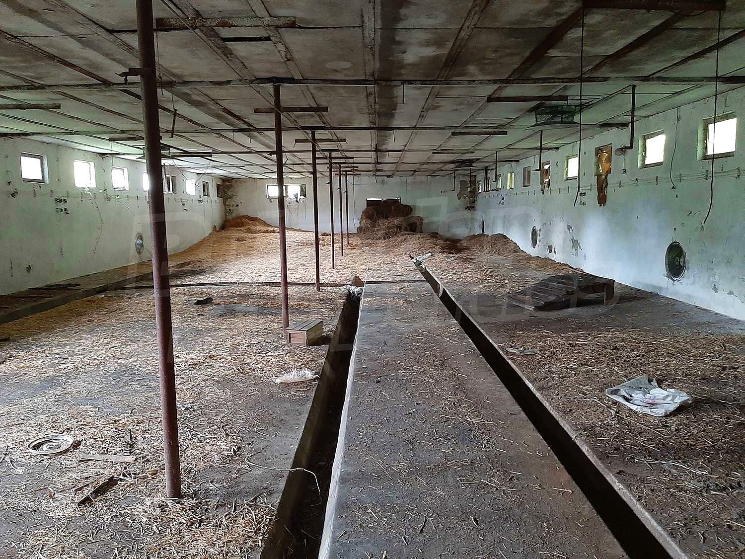 inside