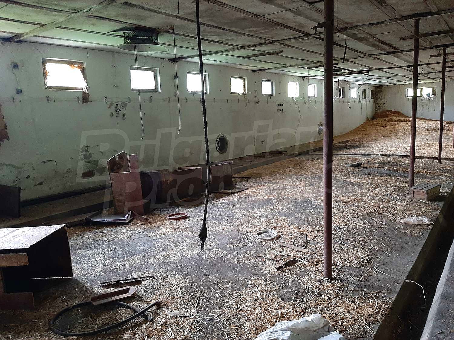 inside