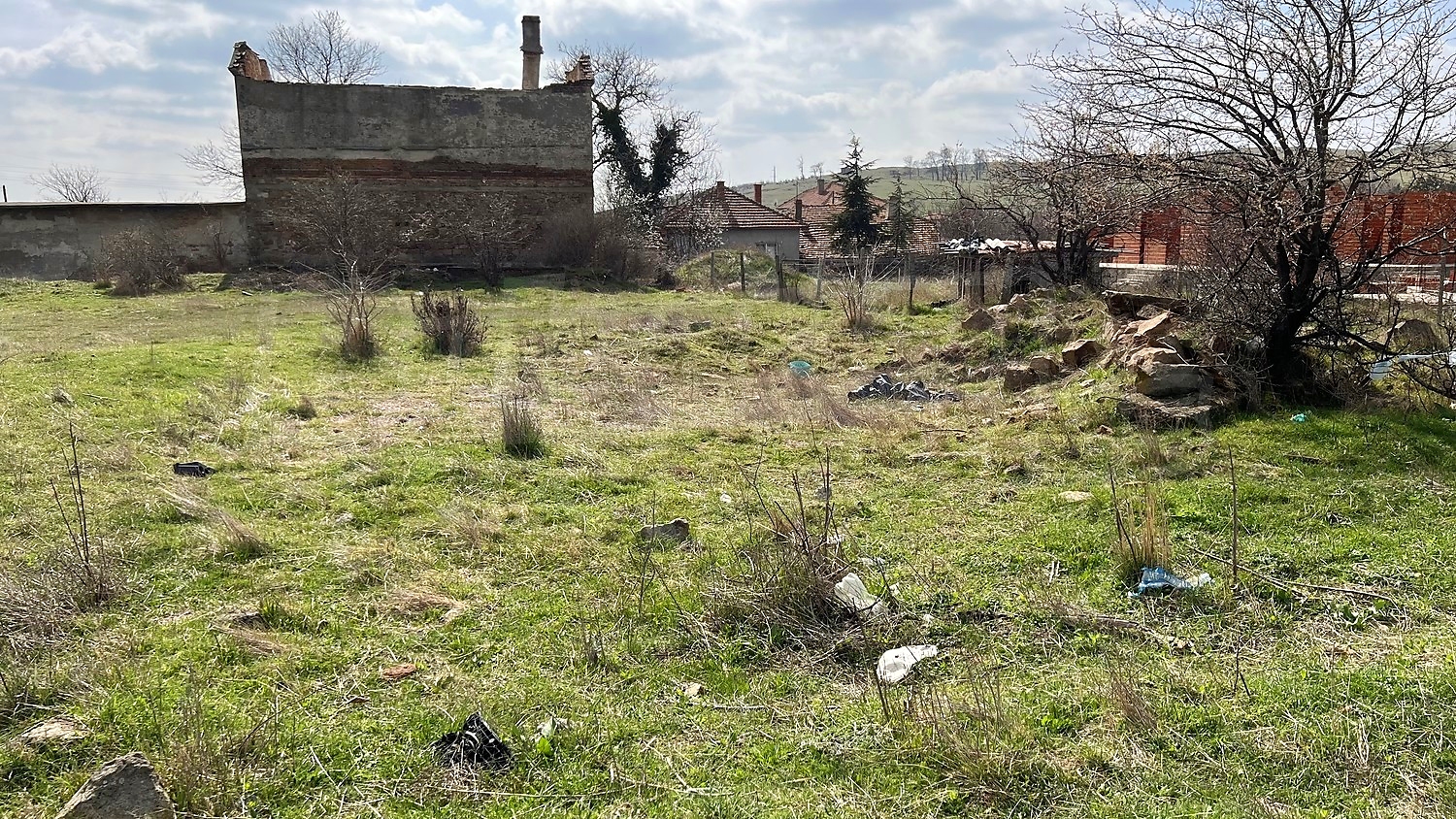 outside, green area