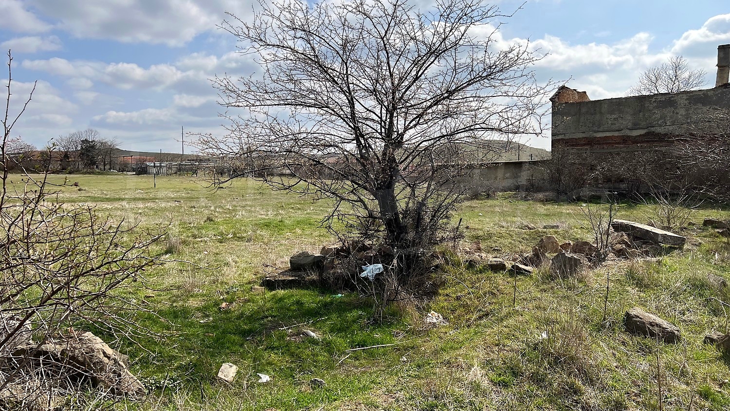 outside, green area