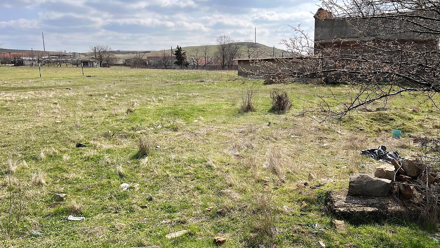 outside, green area