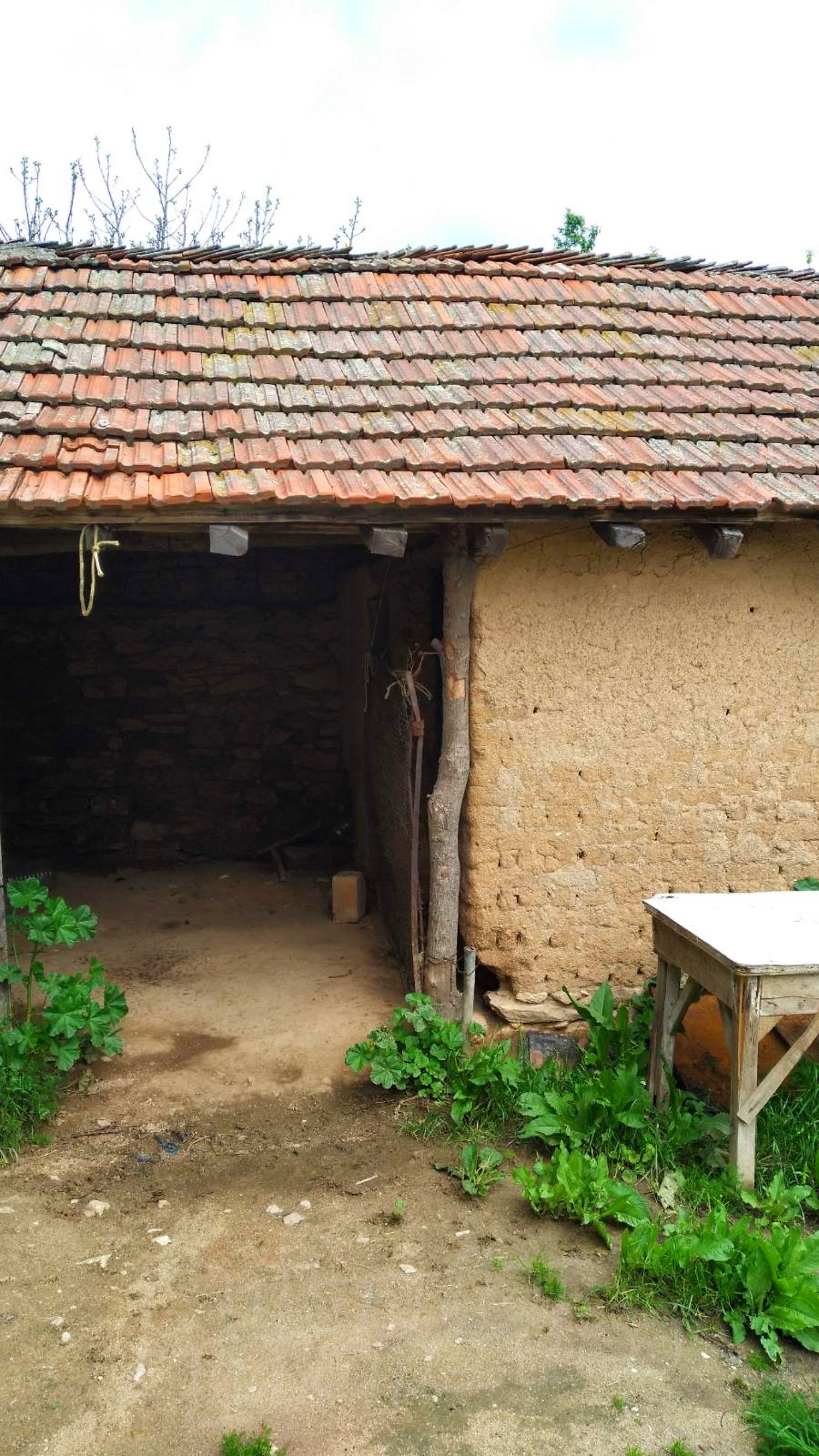 outside, facade, garden