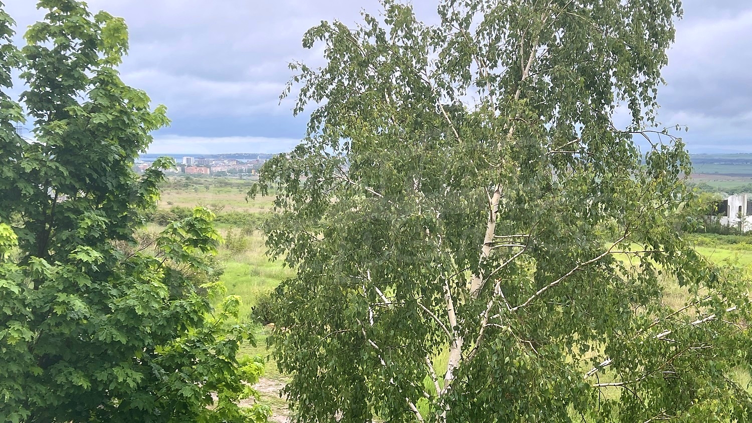 outside, green area
