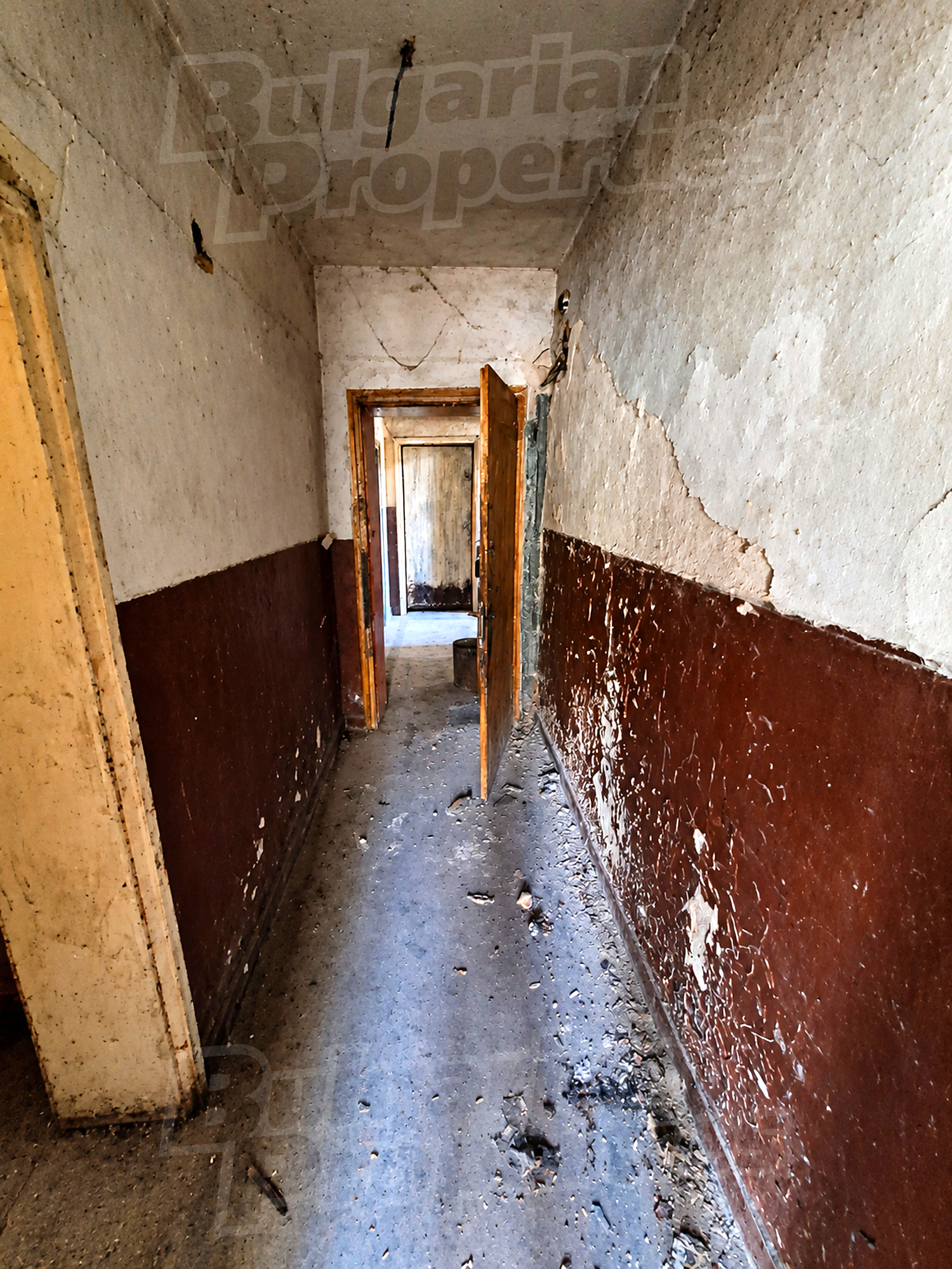 Gallery Picture 6