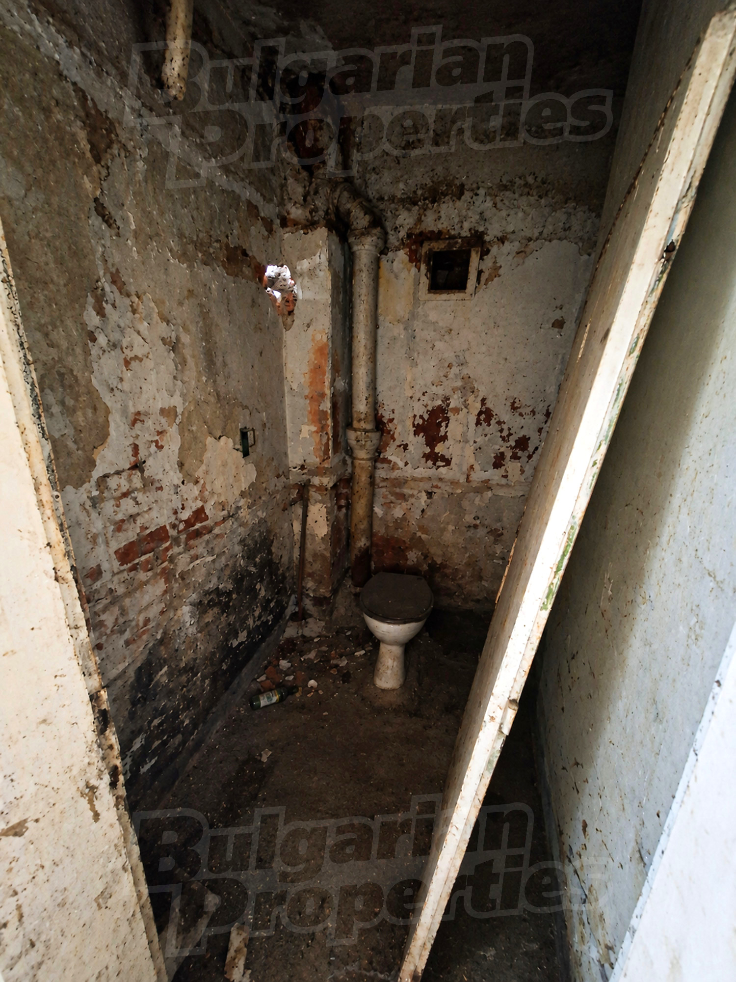 Gallery Picture 8