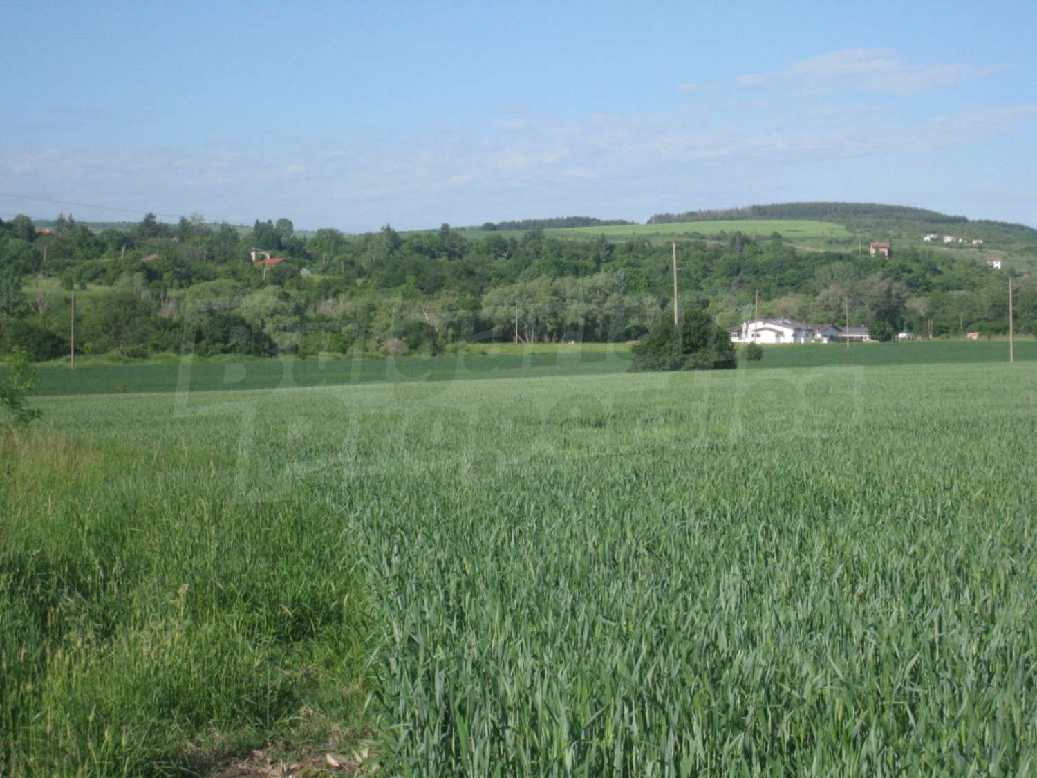 outside, green area