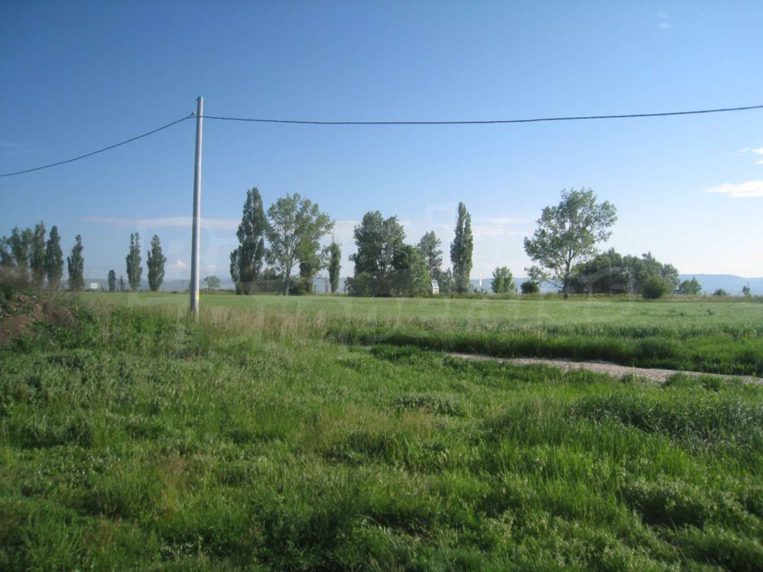 outside, green area