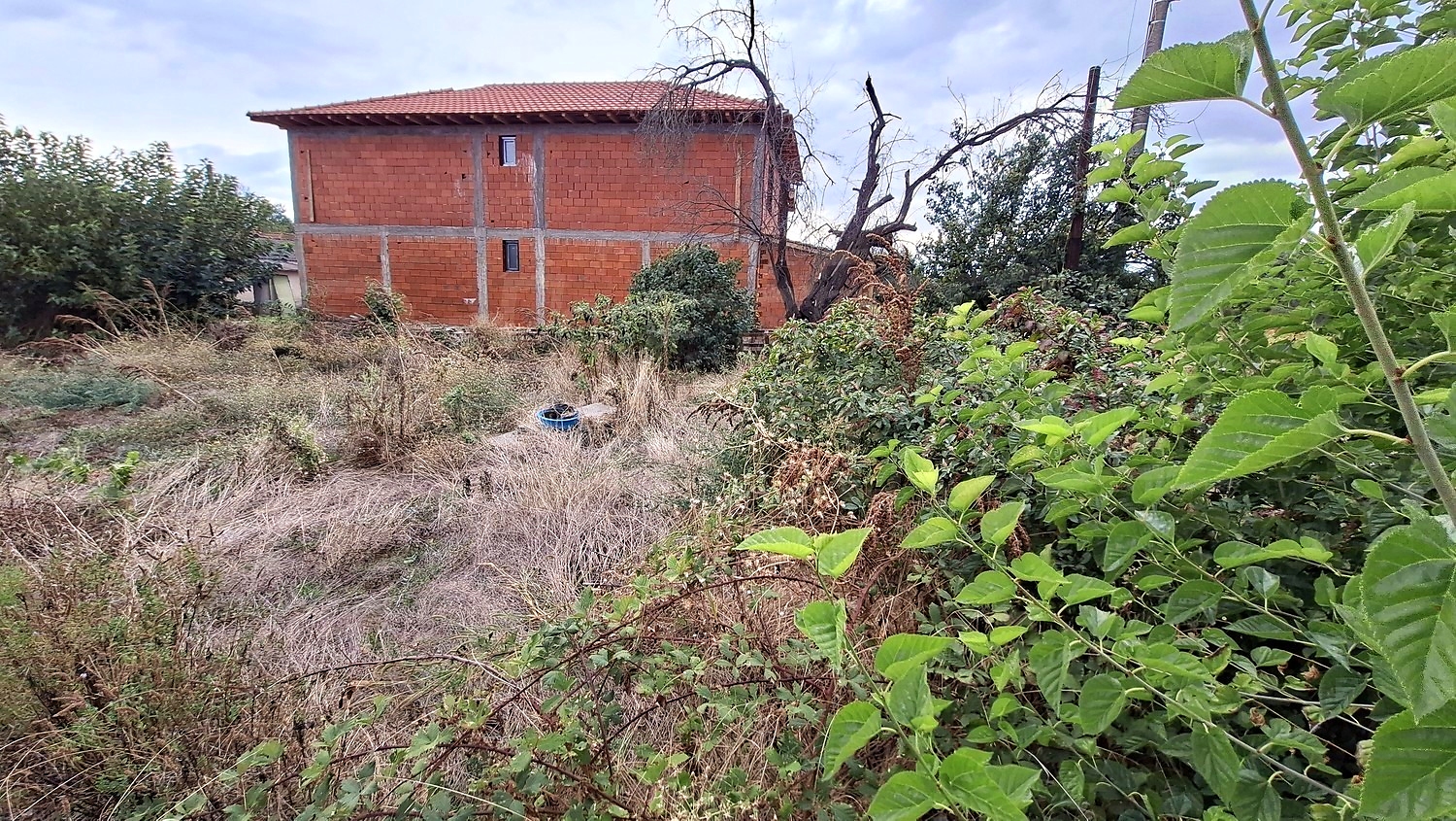 Gallery Picture 6