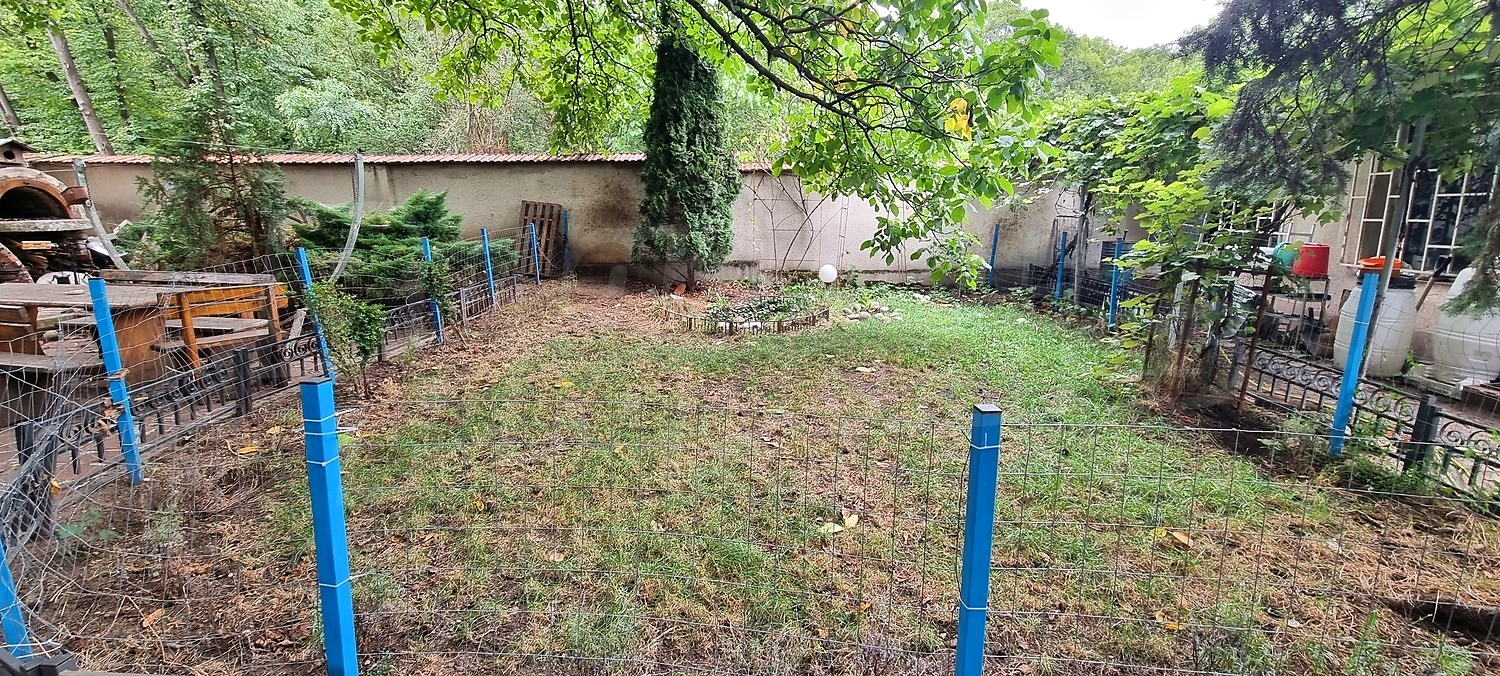 garden, green area, outside