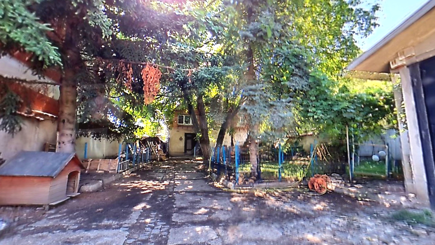 outside, garden