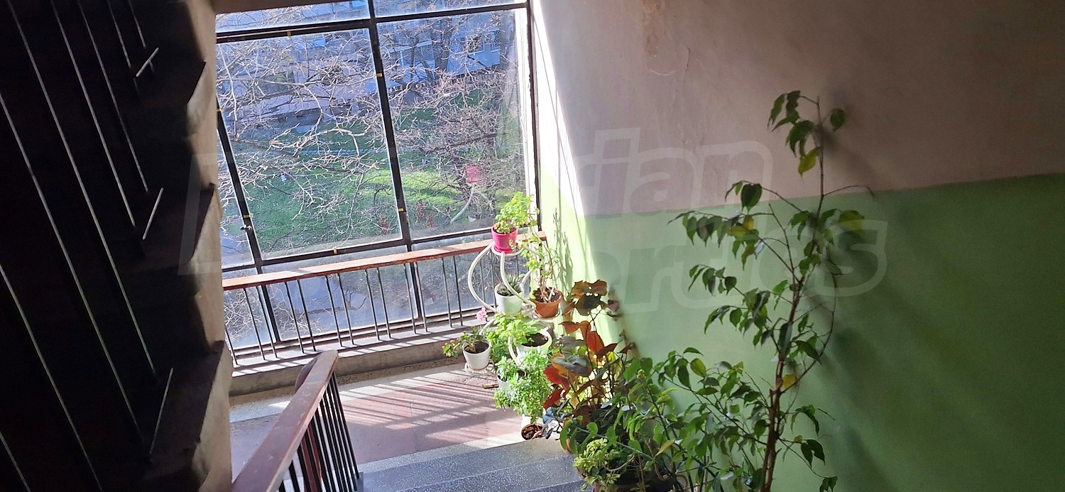 stairs, green area, inside building entrance