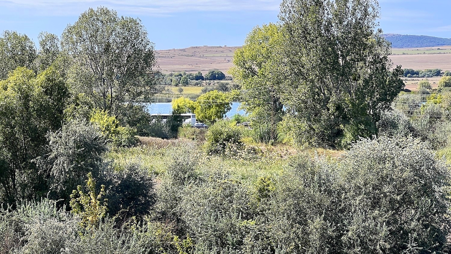 outside, green area