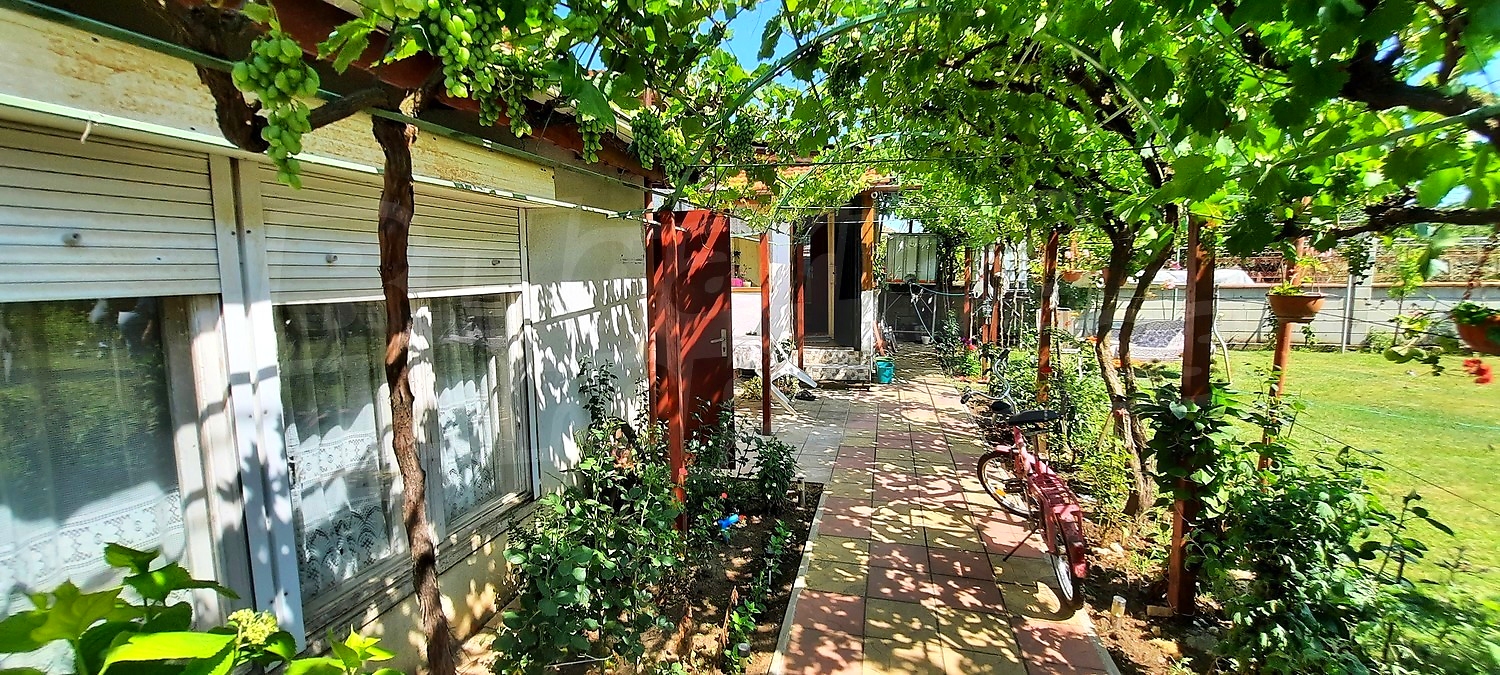 outside, garden