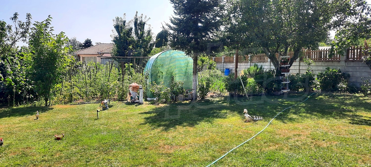 garden, outside, green area