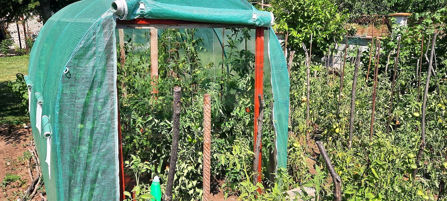 outside, garden, green area